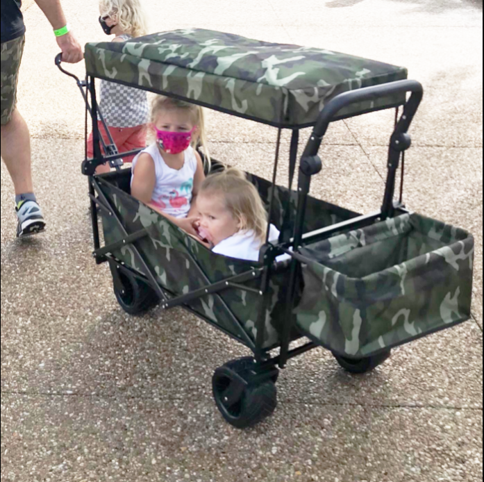 Heavy Duty Removable Canopy Folding Wagon Cart Portable Kids Camping Beach Cart