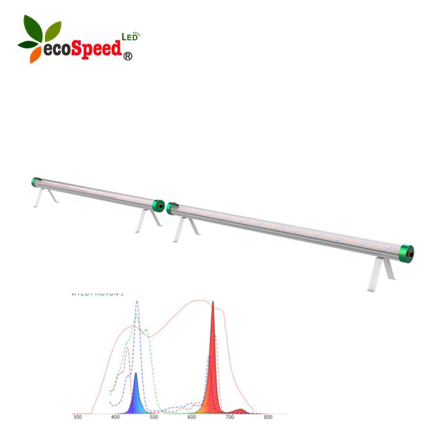 Triproof waterproof IP65 full spectrum red spectrum led under canopy grow lighting 4ft/8ft 120w 240watt ETL In stock