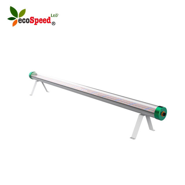 Indoor hydroponics full spectrum Triproof  4ft/8ft 120w 240watt greenhouse under canopy led light dimmable/non dim