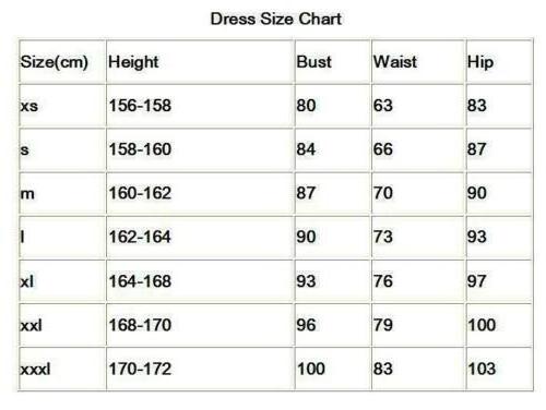 1pc custom made  Victorian Medieval Renaissance Costume Dress Marie Antoinette Theater Gown New