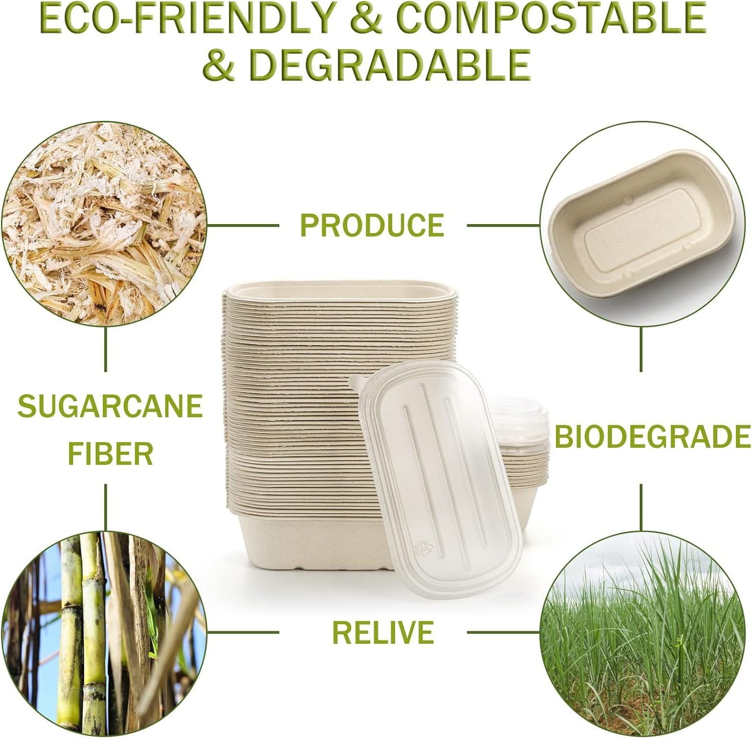 Customizable 450ml Greaseproof And Microwavable Eco Friendly Bagasse Food Containers Biodegradable Lunch Box Disposable