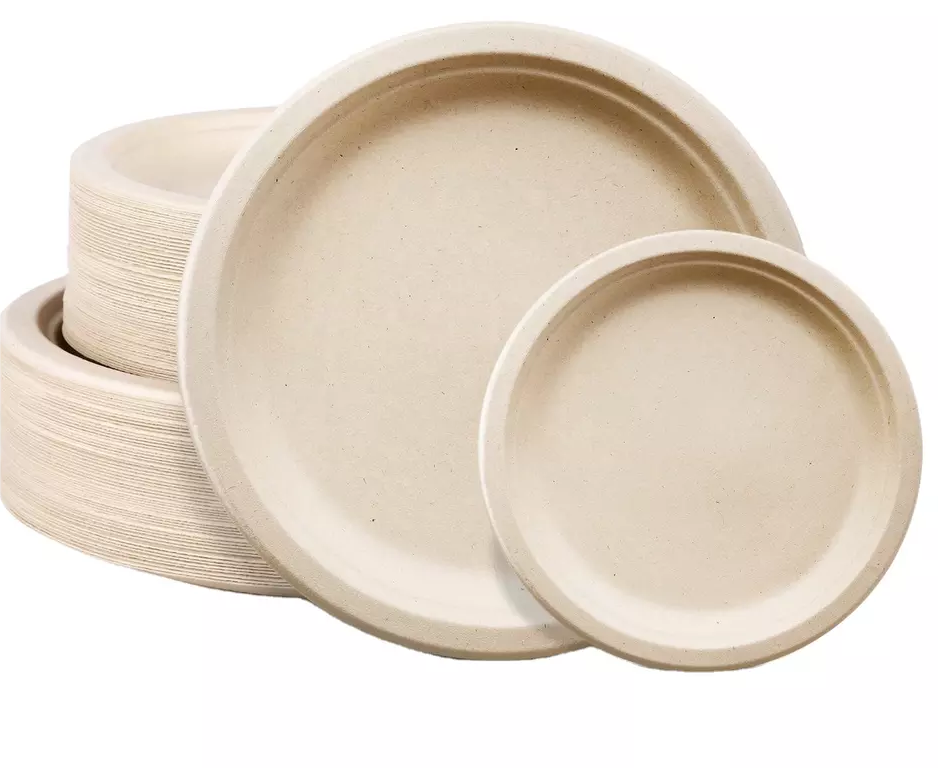 100% Compostable 10 inch Paper Plates, 125 Pack Paper Plates, Disposable Biodegradable Eco-friendly Sugarcane Bagasse Plate