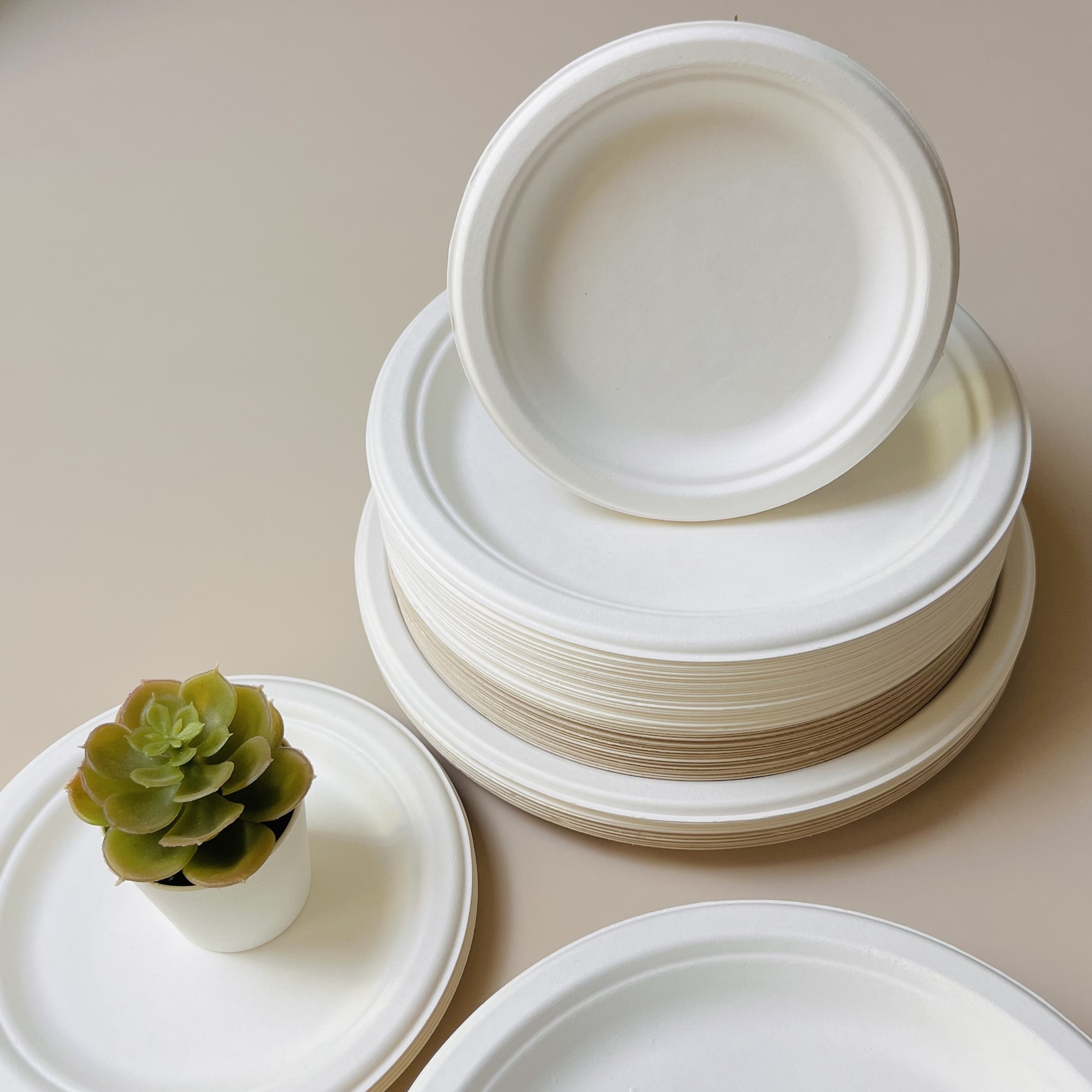 100% Compostable 10 inch Paper Plates, 125 Pack Paper Plates, Disposable Biodegradable Eco-friendly Sugarcane Bagasse Plate