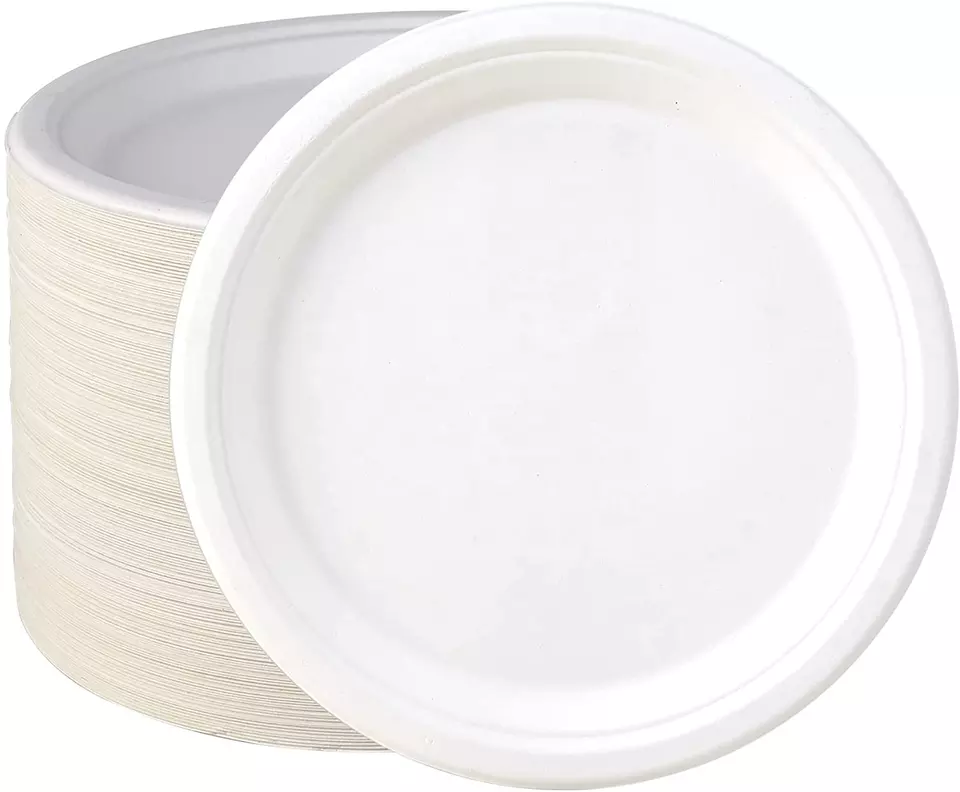 100% Compostable 10 inch Paper Plates, 125 Pack Paper Plates, Disposable Biodegradable Eco-friendly Sugarcane Bagasse Plate