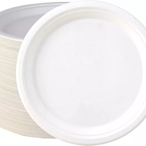 100% Compostable 10 inch Paper Plates, 125 Pack Paper Plates, Disposable Biodegradable Eco-friendly Sugarcane Bagasse Plate