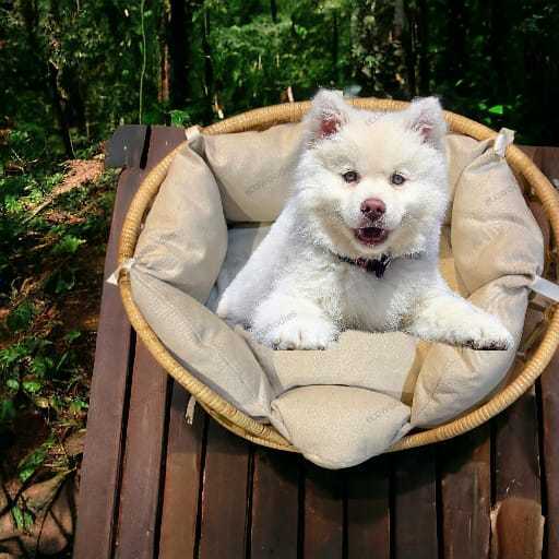 Low Cost New Eco Friendly Rattan Pet Bed Wicker Round Rattan Cat Deep Sleep Cat Dog Sofa Bed Rattan Woven Pet Bed