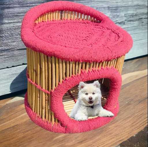 Premium Quality Cane Vintage Wicker Wooden Armless Chair Pet Dog Cat Animal Sitting Bamboo Cage Houses Bed Sofa Chair