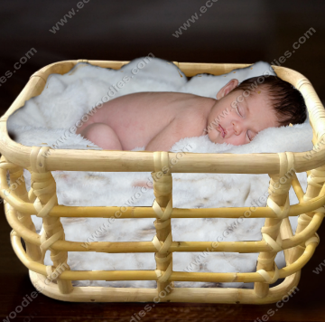 Retro Style Design wooden bed newborn photography shoot props baby studio photography background baby cribs cot for sale bedroom