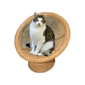 Low Price Handmade Eco-Friendly Hand Woven Bamboo Cane Wicker Portable Pet Sitting Bed Outdoor Durable Rest Chair for Pets