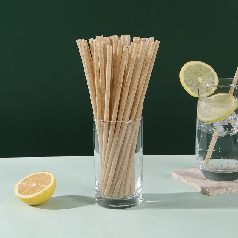 100% Natural Biodegradable Compostable Sugarcane Bagasse Disposable Drinking Straw