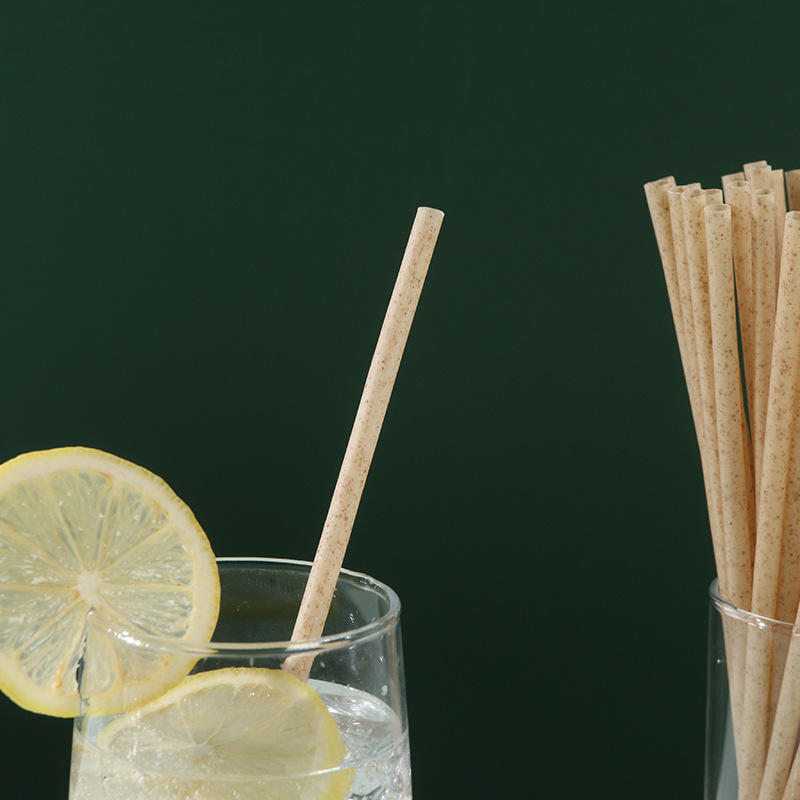 100% Natural Biodegradable Compostable Sugarcane Bagasse Disposable Drinking Straw