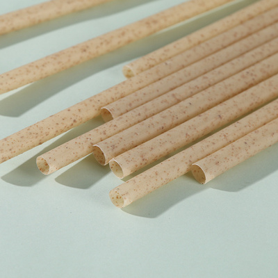 100% Natural Biodegradable Compostable Sugarcane Bagasse Disposable Drinking Straw