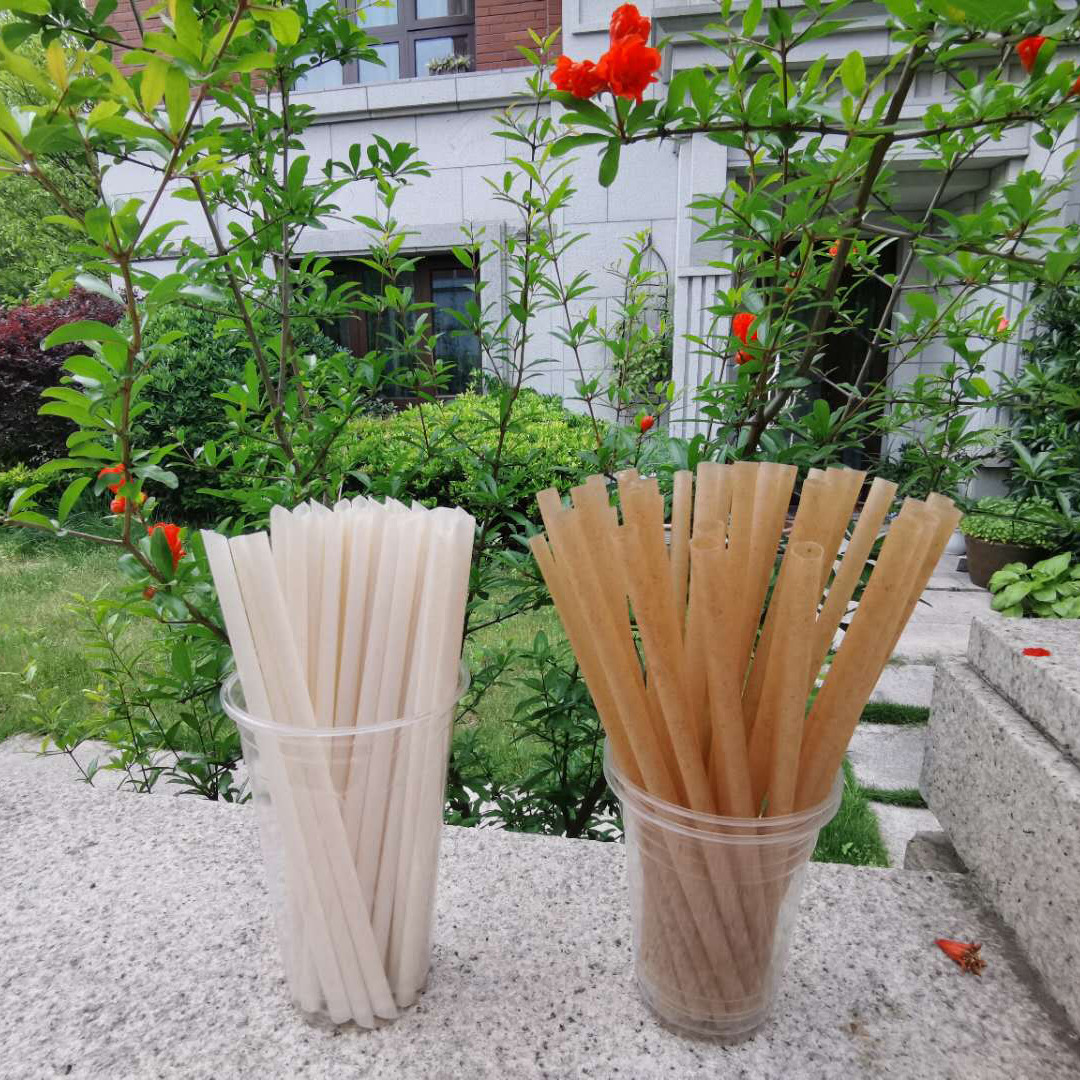 100% Natural Biodegradable Compostable Sugarcane Bagasse Disposable Drinking Straw