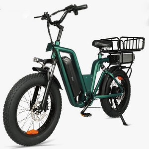 New for 2023 750W motor driven high range lithium battery cargo electric cargo carrier bike electric hybrid bike e-bike