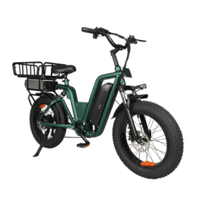 Support personalization 48V 10+20AH dual battery cargo bike electric ebike e-cargo family e bicycle 20"750 watt fat tire ebike