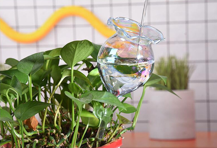 Clear Glass Self-Watering System Spikes Light Iridescent Rainbow Gradient Color Automatic Plant Waterer Bulbs