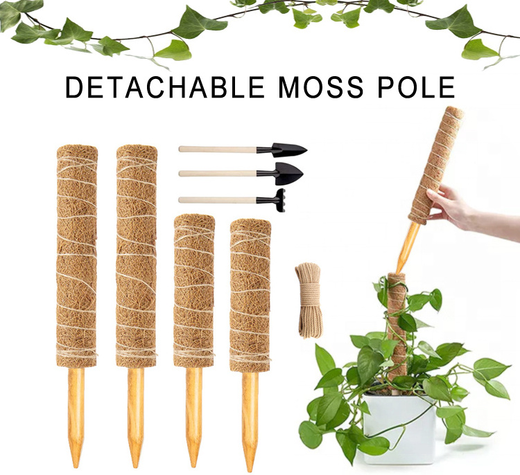 Hidden Stake Moss Pole Plant Vine Support Climbing Coco Sticks Detachable Moss Pole