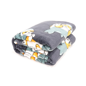 Panic Buying Comfort Flannel Fleece Throw Blanket 100% Polyester Sofa And Office Chair Blanket Windproof And Nap For All Season