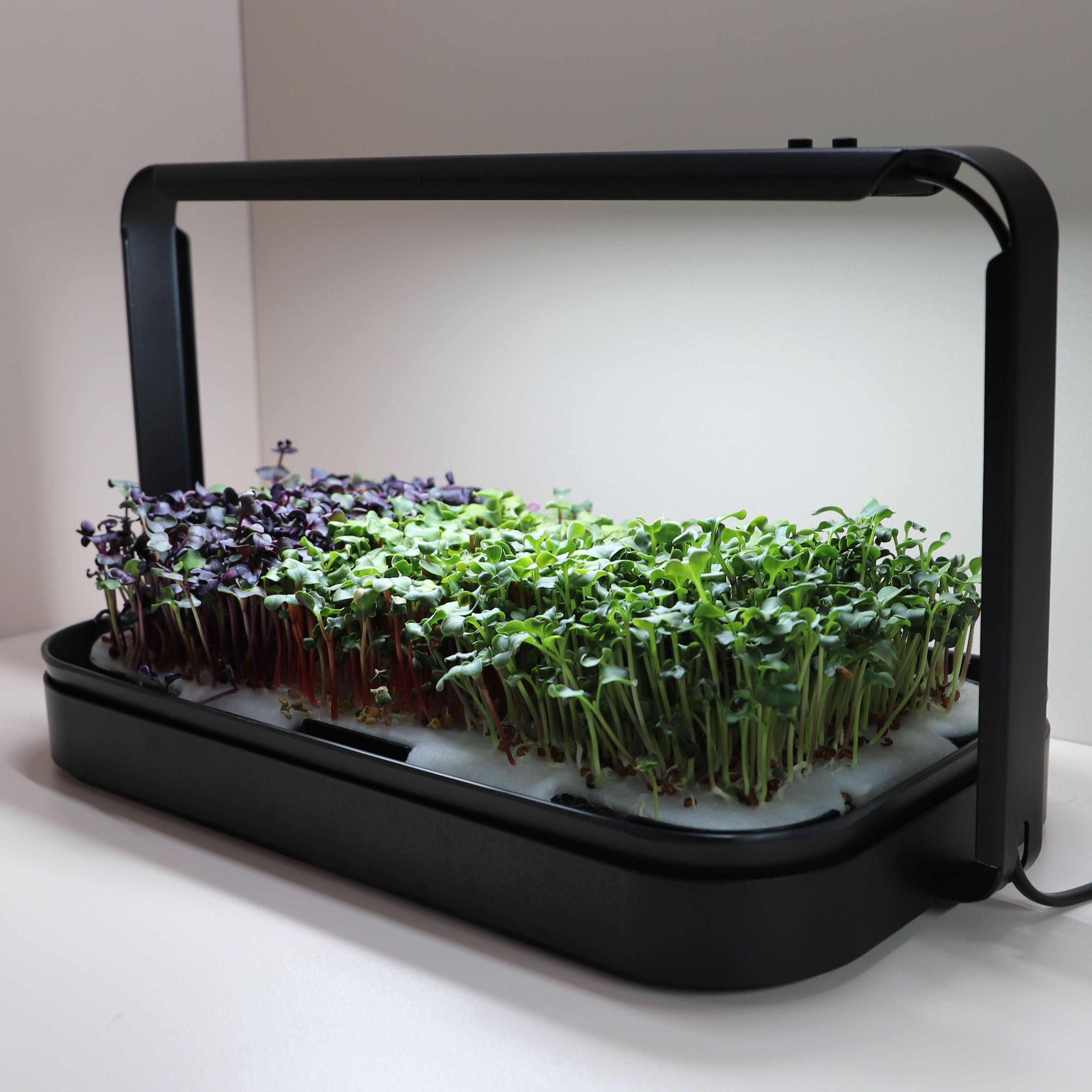 Smart Home Kitchen Self Watering Seed Seedling Germination Plant Grow Light Indoor Hydroponic Microgreens Growing Trays