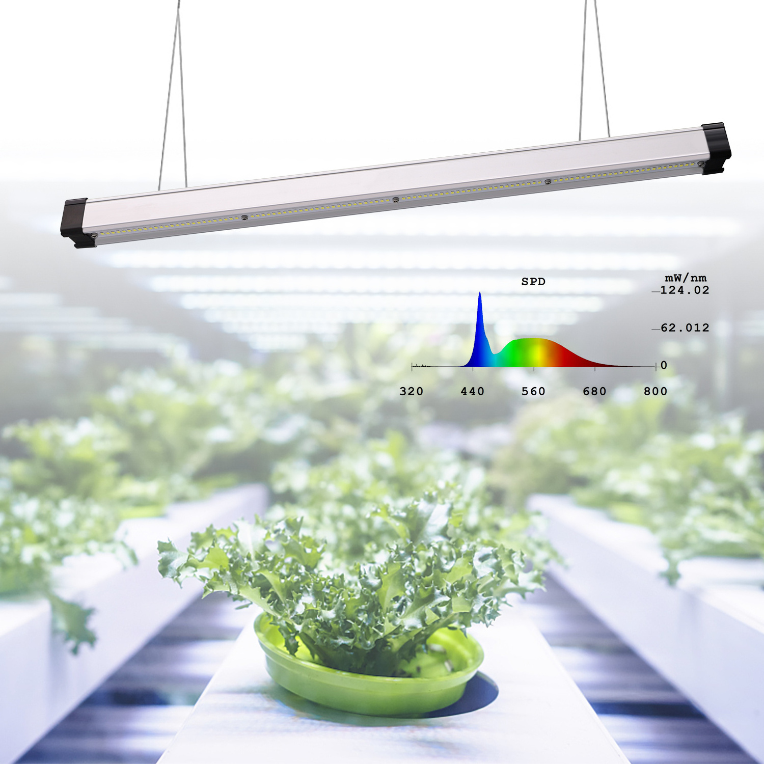 Rack 6500K Modular Propagation 200W 4*4FT LED Grow Light for Microgreens Seedling and Vegetative