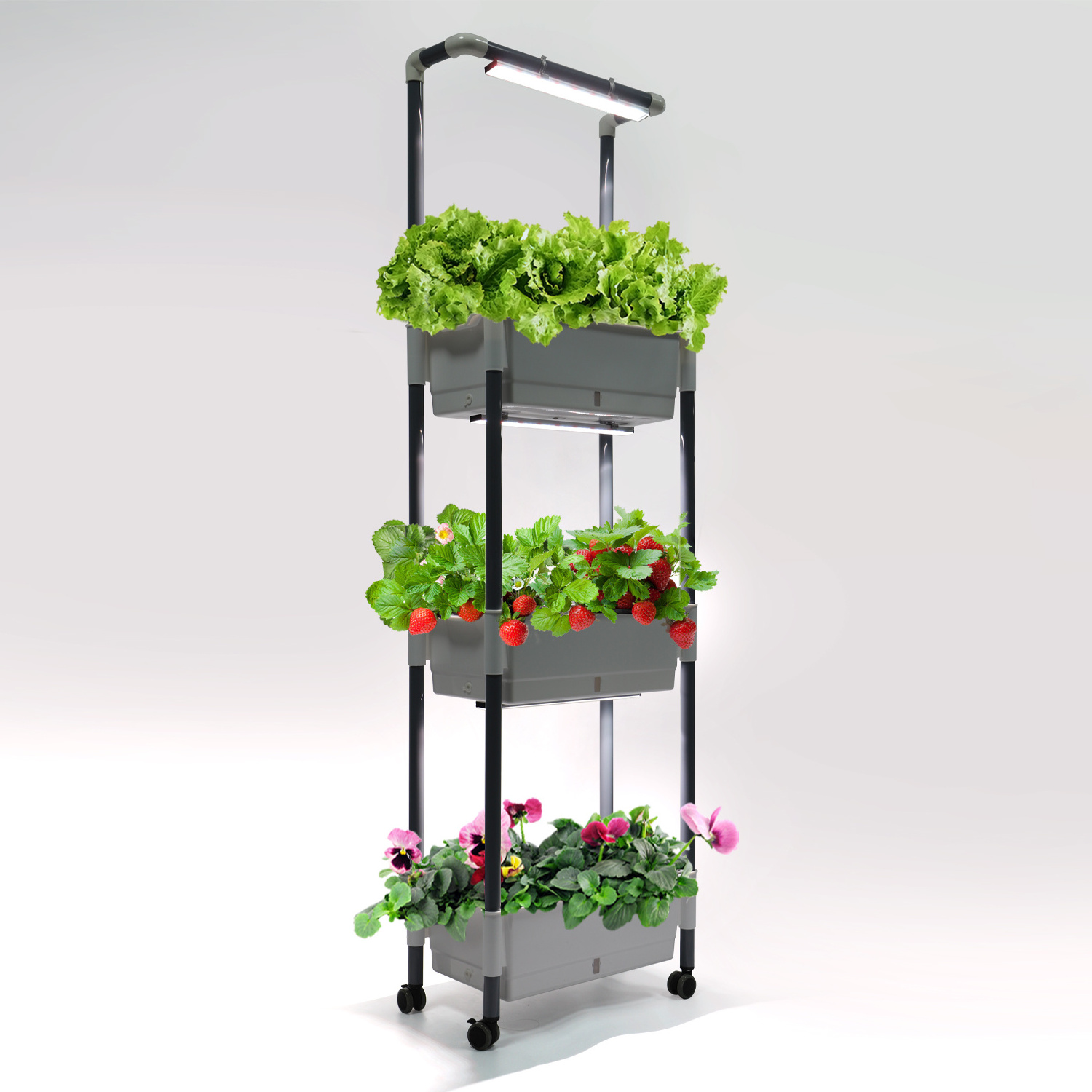 smart grow rack vertical indoor farming system with led grow light