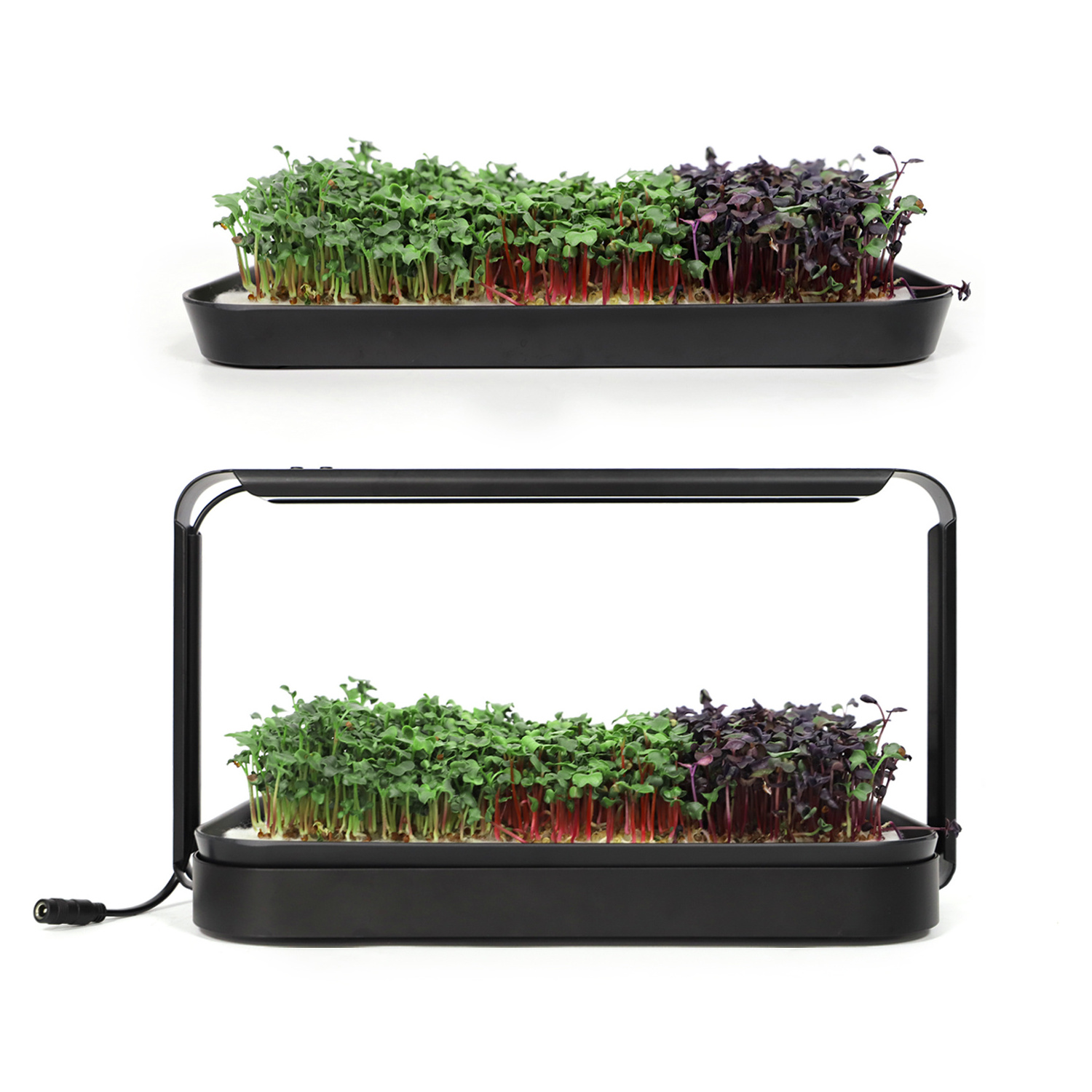 Smart Home Kitchen Self Watering Seed Seedling Germination Plant Grow Light Indoor Hydroponic Microgreens Growing Trays