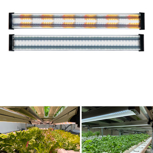 1.2m 80w urban greenhouse aeroponics indoor container farming high ppfd led grow light