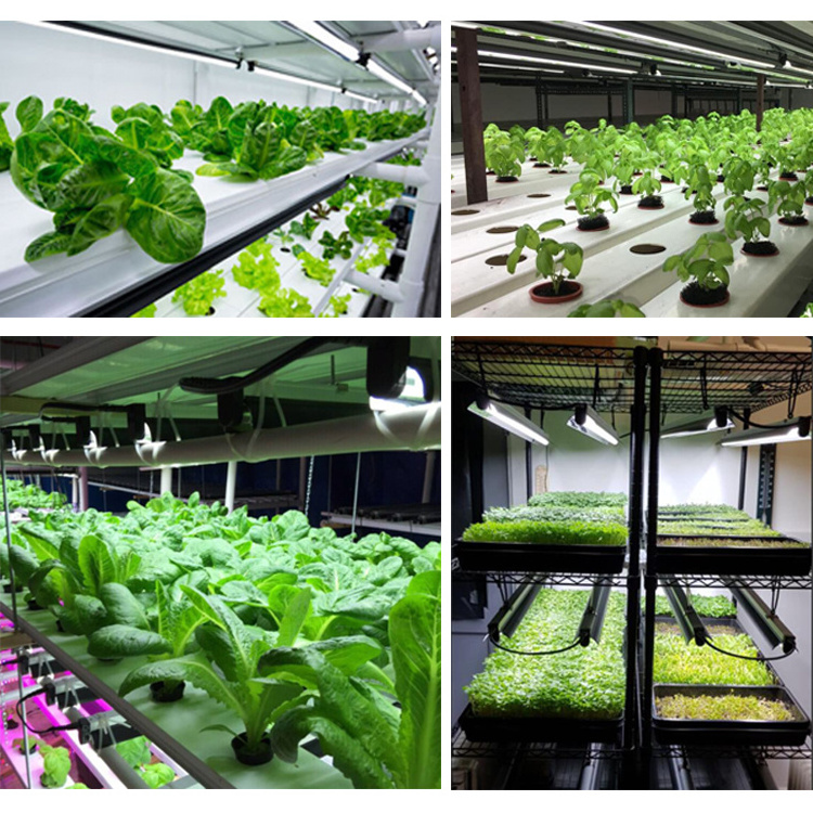 hydroponic commercial greenhouse lamp farm vegetable lampara uvb reptiles fluorescent light fixture