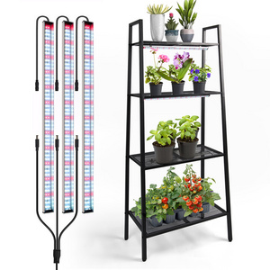 Indoor Plant Growing System Vegetable Flower Fruit Greenhouse Rack Home Garden Shelf with Grow Lights