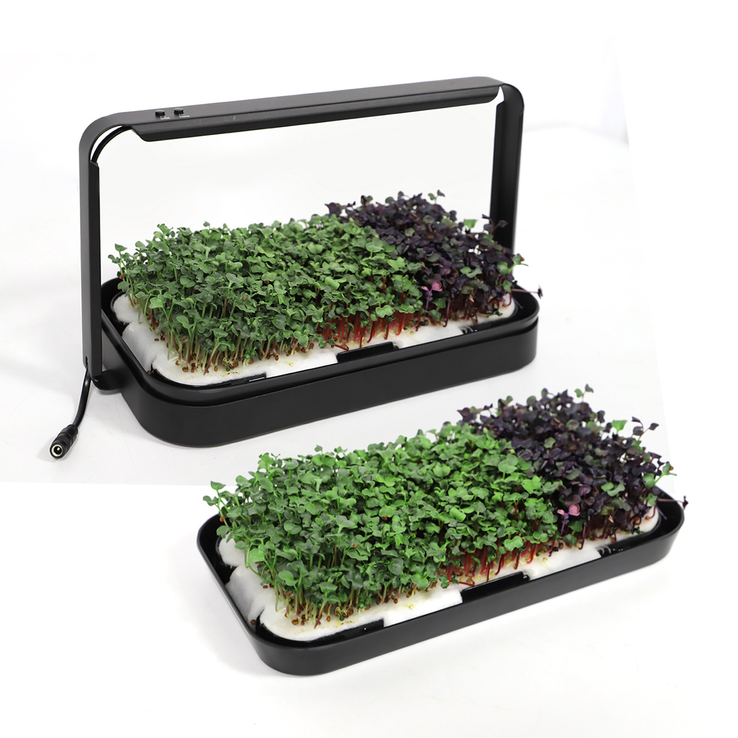 Smart Hydroponic Microgreens Trays Indoor Propagation Garden Germination Kit Kitchen Desk Led Light Growing System For Home Use