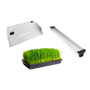 Microgreen Horticultural Growing Trays Seedlings Trays Wholesale Growing Kit For Plant Vegetable