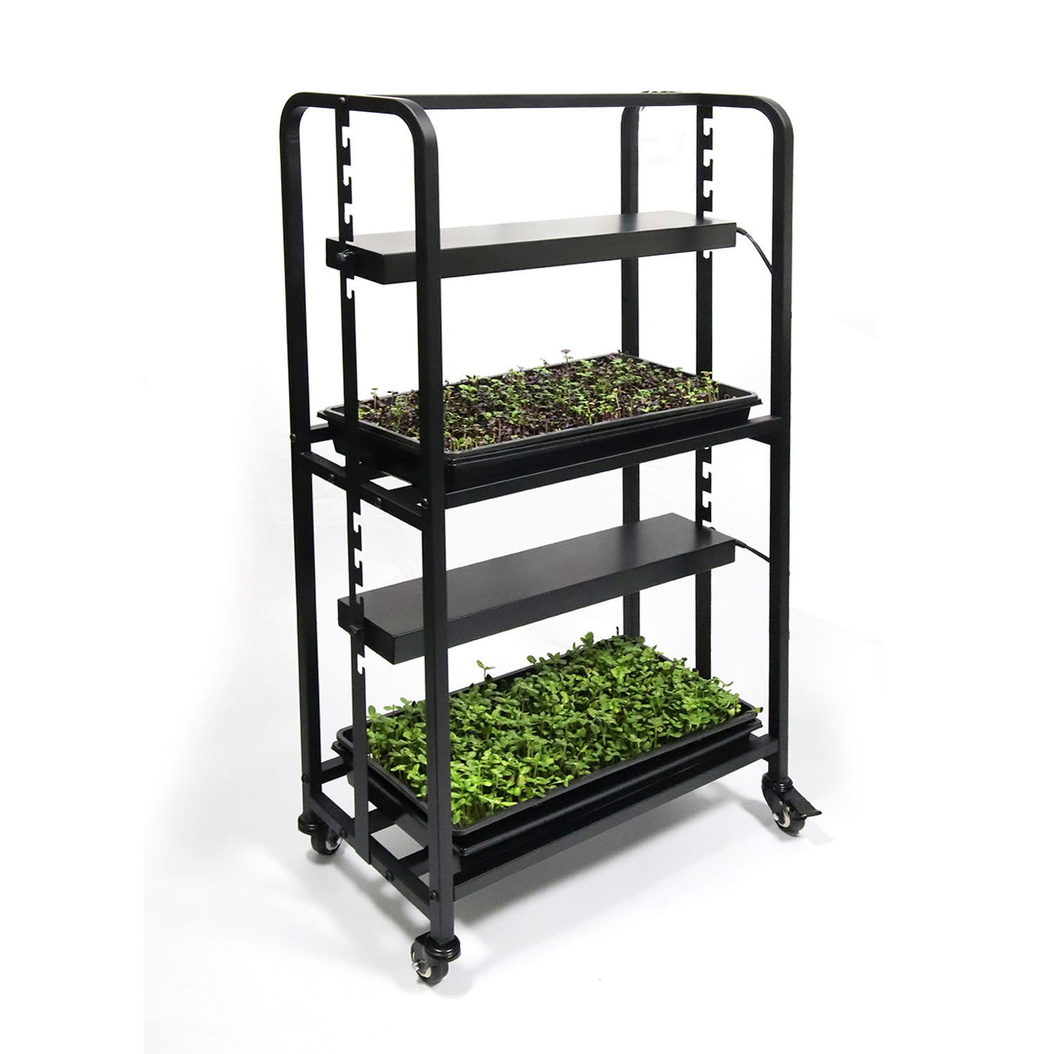 Indoor Farming Bonsai Garden Micro Greens Vegetable Vertical Growing Rack With Led Grow Lights