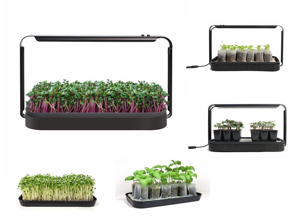 Smart Home Kitchen Self Watering Seed Seedling Germination Plant Grow Light Indoor Hydroponic Microgreens Growing Trays