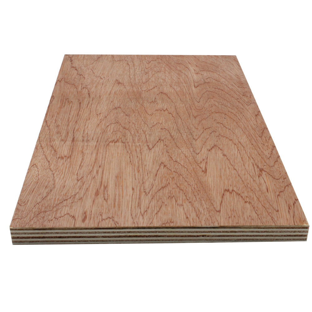 Edlon 18mm 23mm 36mm 5x6 5x8 5x9 poplar core commercial laminated bintangor veneer plywood