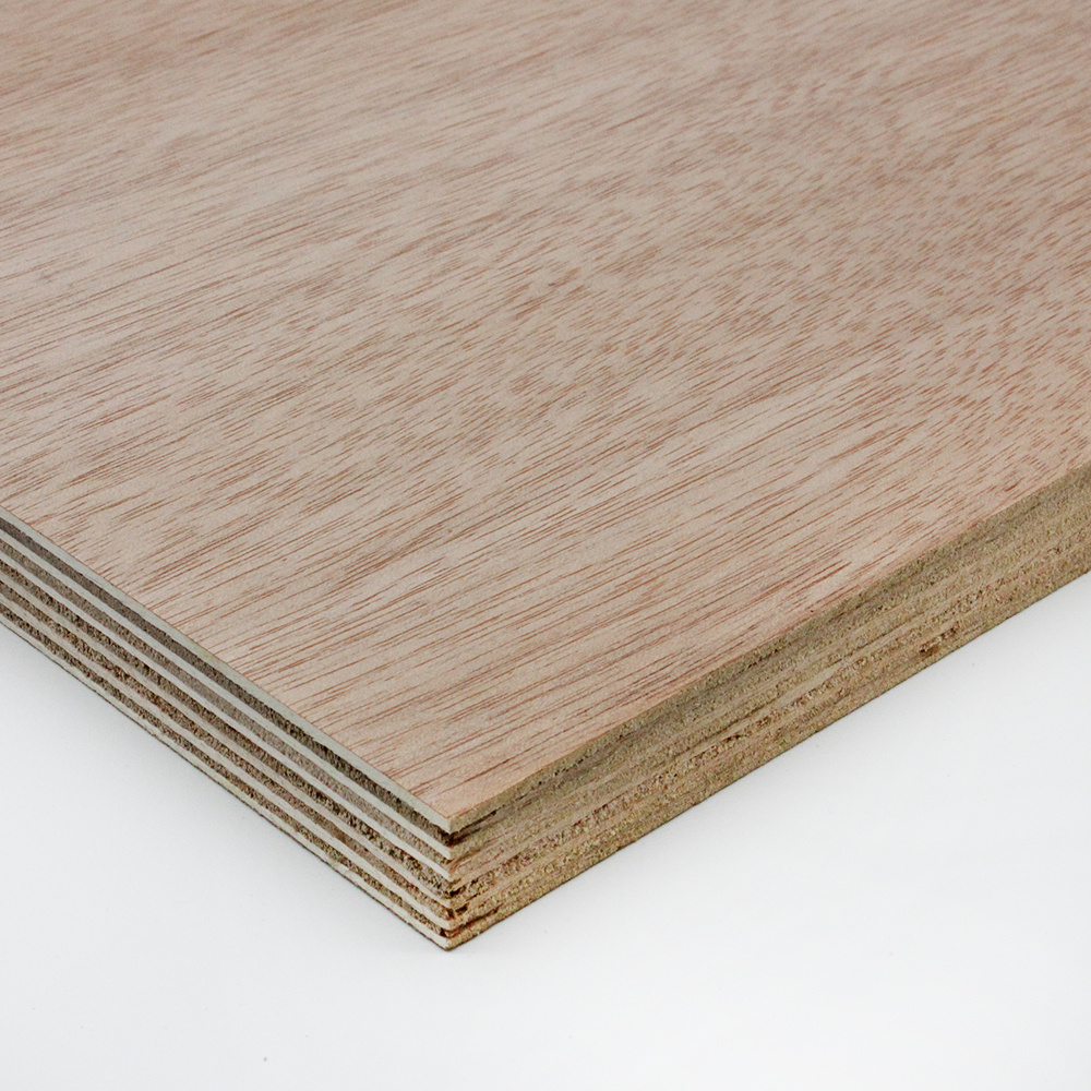 Edlon double sided cabinet furniture 2mm 5mm 9mm 18mm 5x9 6x8 okoume laminated plywood sheet