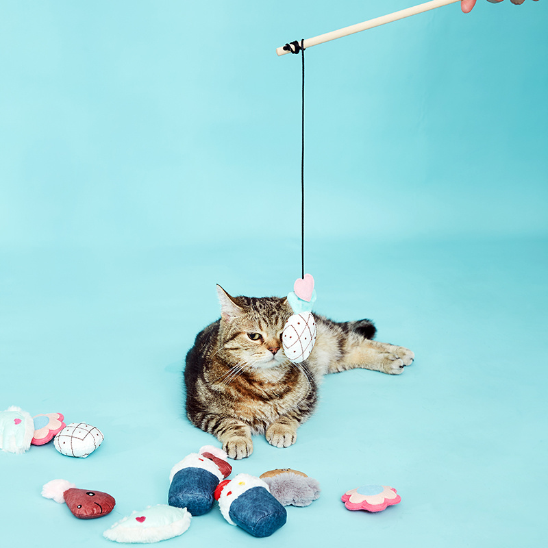 Funny magnetic fishing rod to tease the cat toy