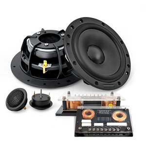 Hot Selling Platform 6.5 Inch Speaker Subwoofer With Amplifier Pure Bass Enclosure Car Active Subwoofer