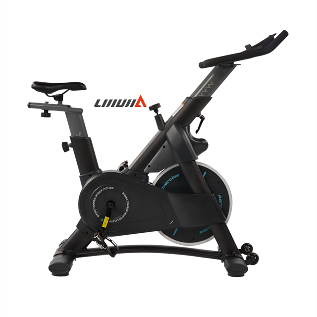 Lijiujia Professional Premium Grade Dynamic Iron Wheel indoor 18kg flywheel Spinning Bicycle Spring Cycling Exercise Spin Bike