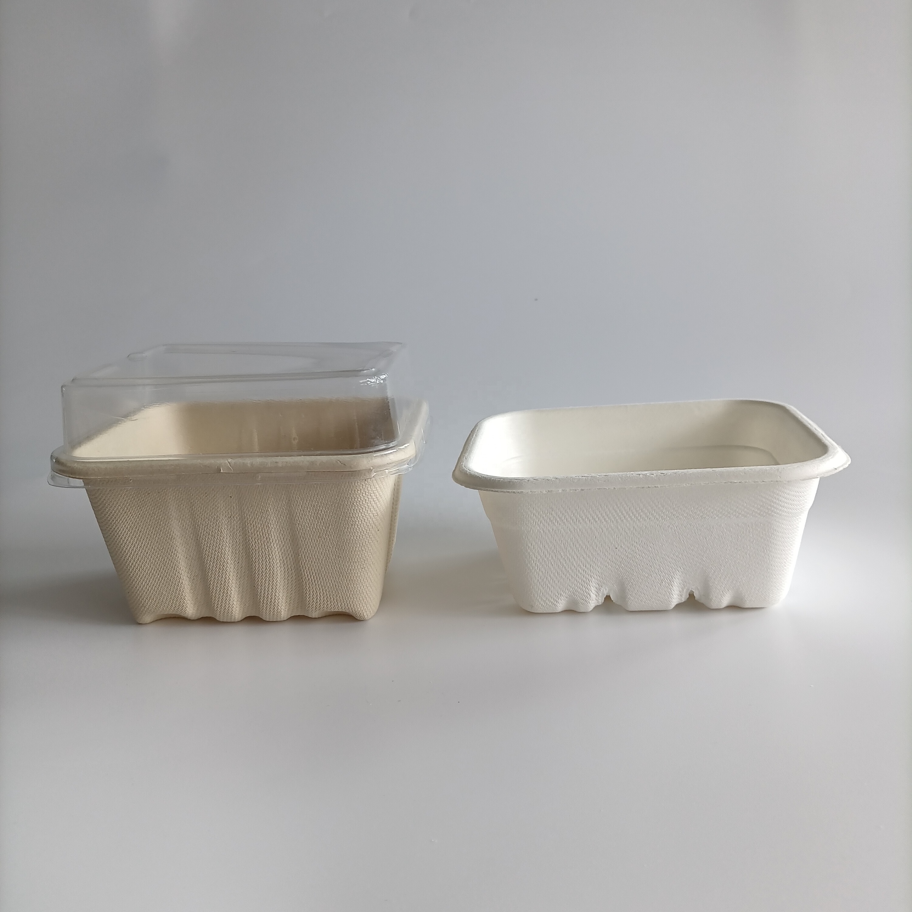 In Stock Biodegradable Disposable Blueberry Tray Baggase Plates Wheat Straw And Sugarcane Disposable Trays With Lid