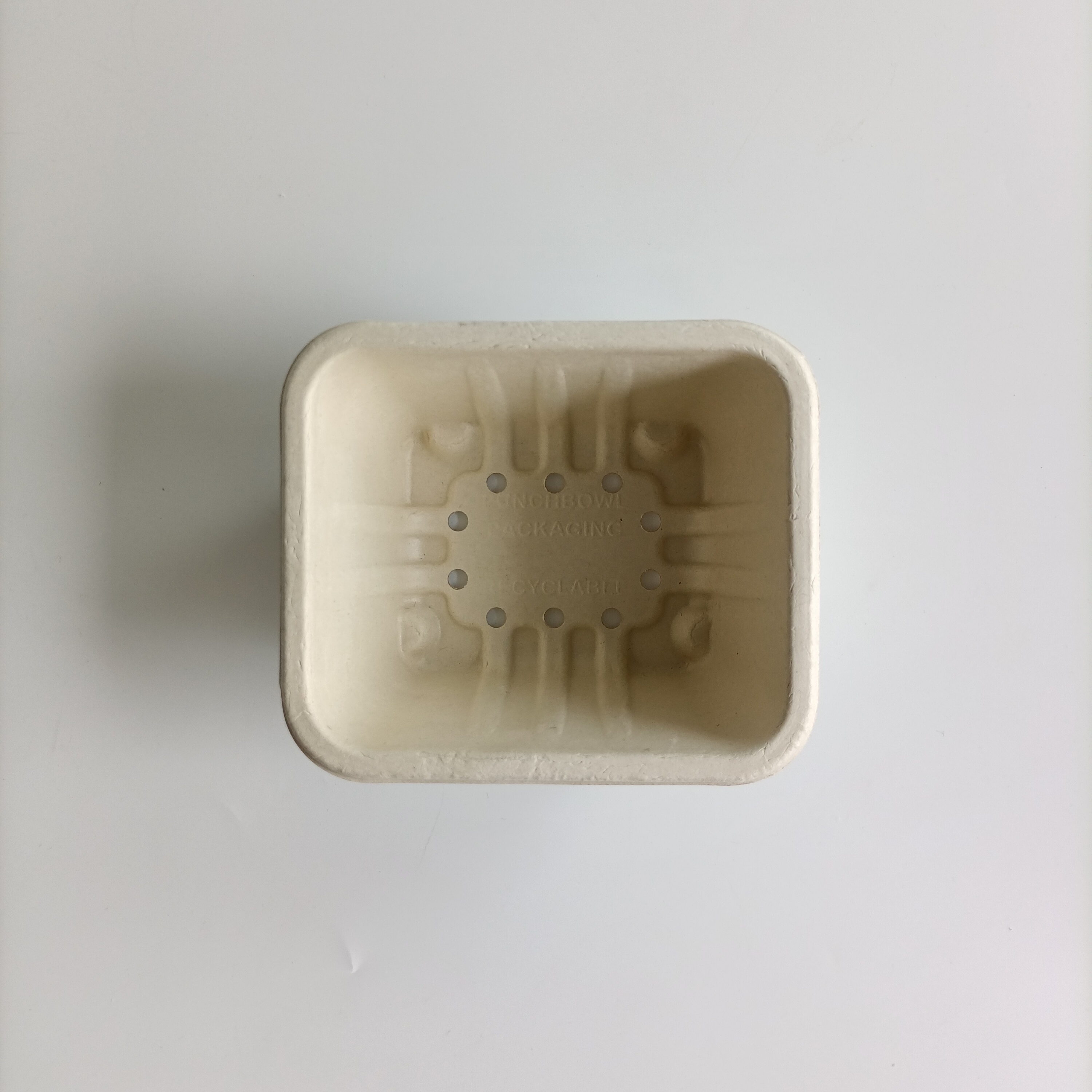 In Stock Biodegradable Disposable Blueberry Tray Baggase Plates Wheat Straw And Sugarcane Disposable Trays With Lid