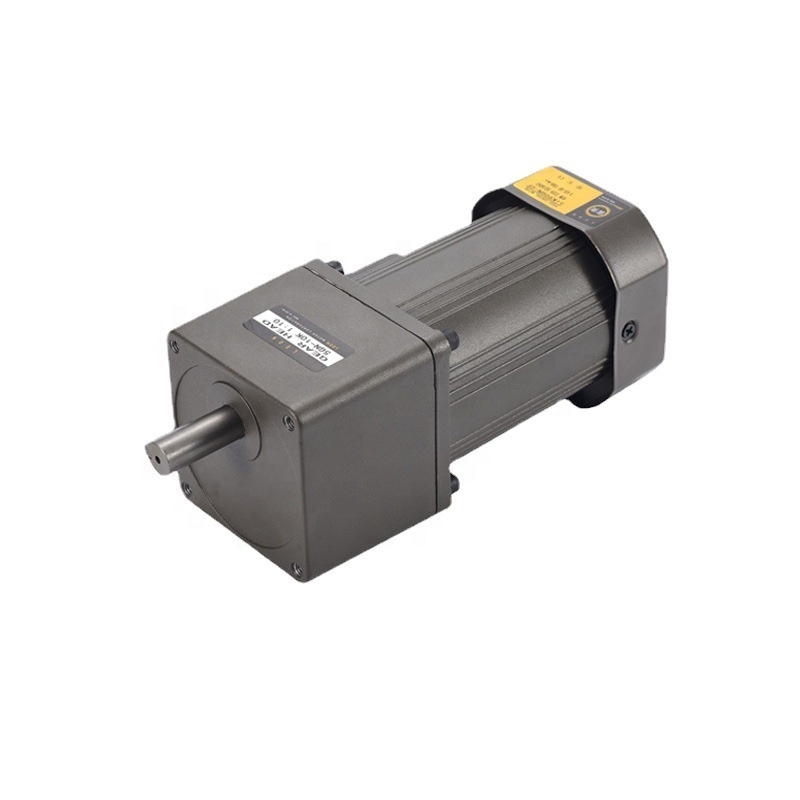 6~400W AC Gear Motor with Speed Controller