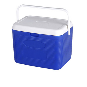 Foldable Epp Foam Cooler Box  Injection Pen vip metal corona transparent cooler box