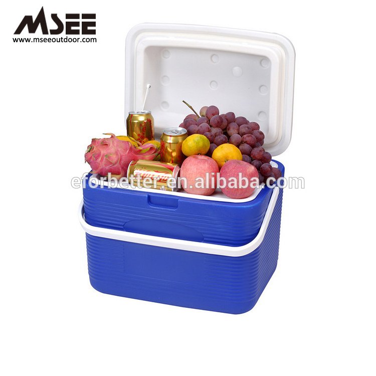 Foldable Epp Foam Cooler Box  Injection Pen vip metal corona transparent cooler box