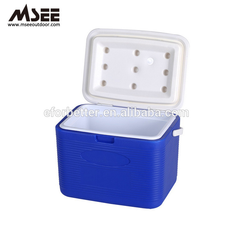 Foldable Epp Foam Cooler Box  Injection Pen vip metal corona transparent cooler box