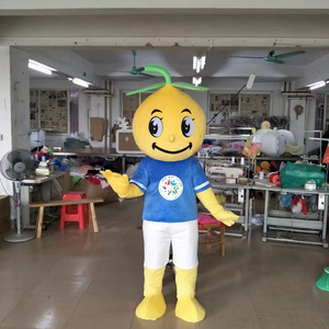 Efun MOQ 1 PC Hot sale Adult custom made cosplay Grapefruit mascot costume for sale