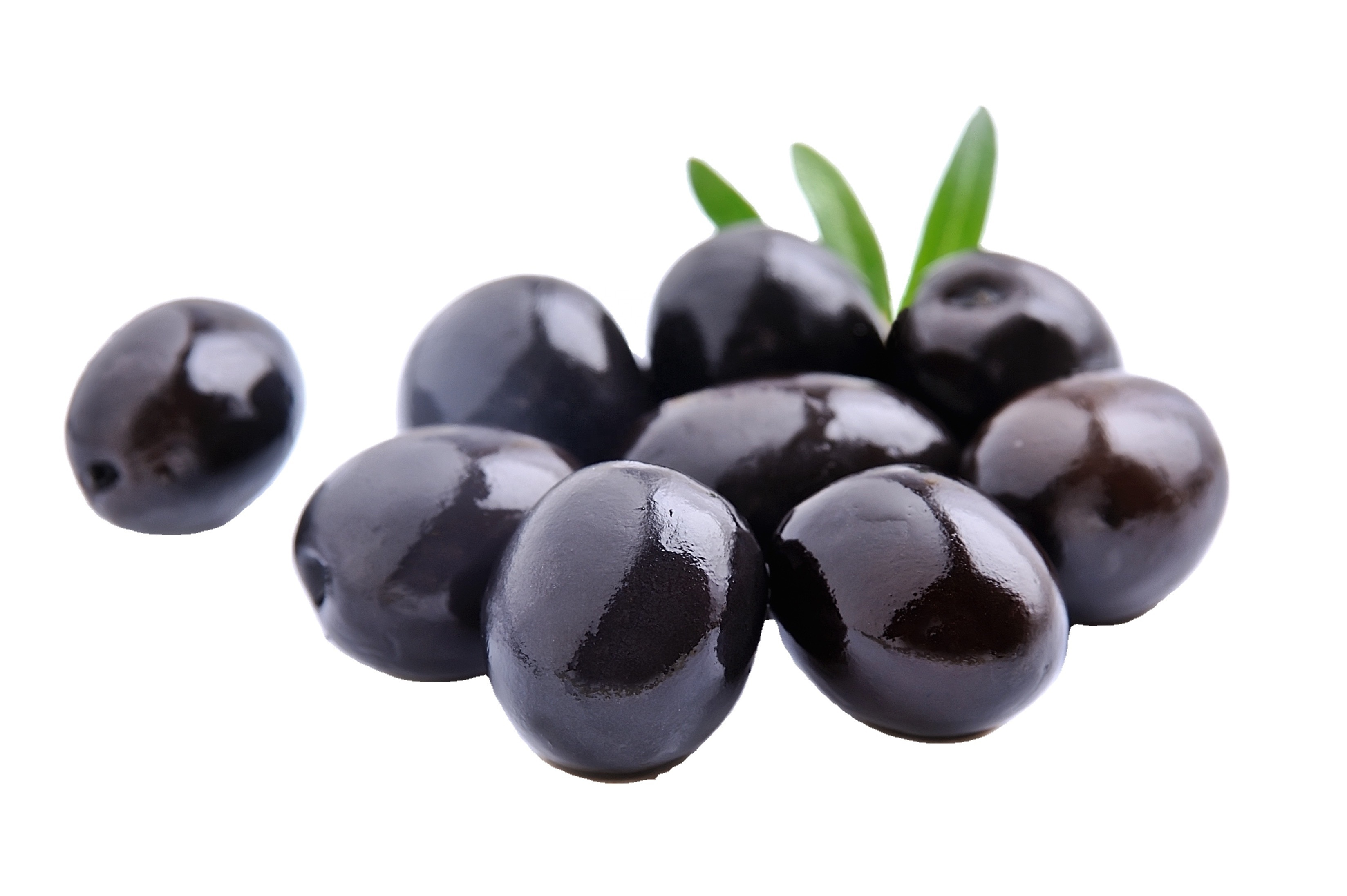 canned whole black olives preserved in brine in all packages manufacturing in Egypt