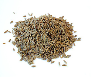 cumin seeds with high quality