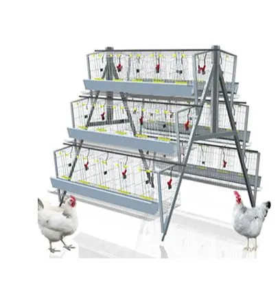 Hot Galvanized Poultry Using 3-Tier 4 Tier Layer A Type Layer Chicken Cage For Sale