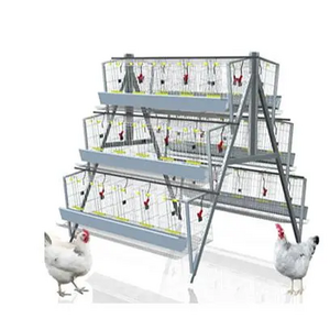 Hot Galvanized Poultry Using 3-Tier 4 Tier Layer A Type Layer Chicken Cage For Sale