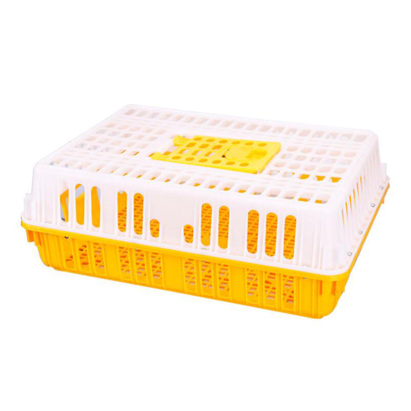 Professional Chick Crate Chicken Plastic Large Chicken Cage Crate Chick Transport Box